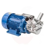 Pumpe Liverani EP MINOR 40 6900L/h 220V