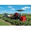 1068-12-berry-harvester-jarek-5.jpg.webp